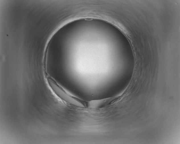 X0000075411536200609251031