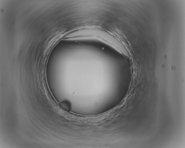 X0000075410001200609291718