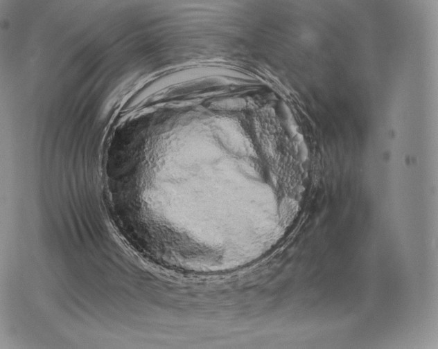 X0000075410002200609291718