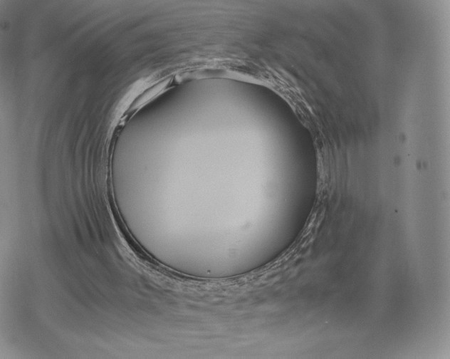 X0000075410003200609291718