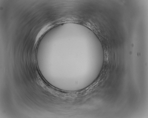 X0000075410004200609291718