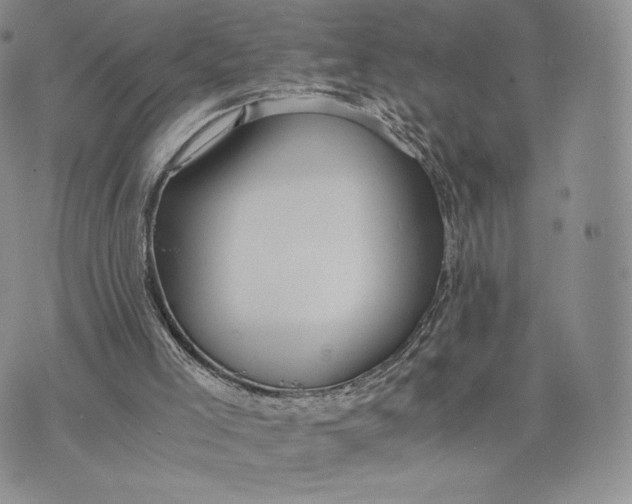 X0000075410005200609291718