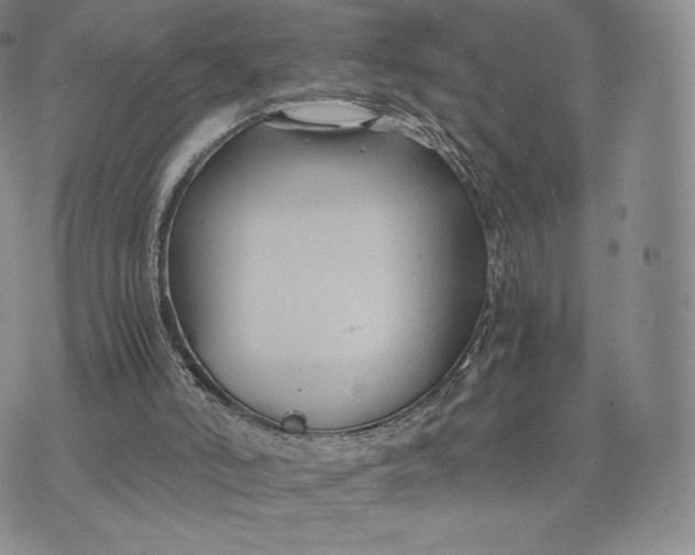 X0000075410006200609291718