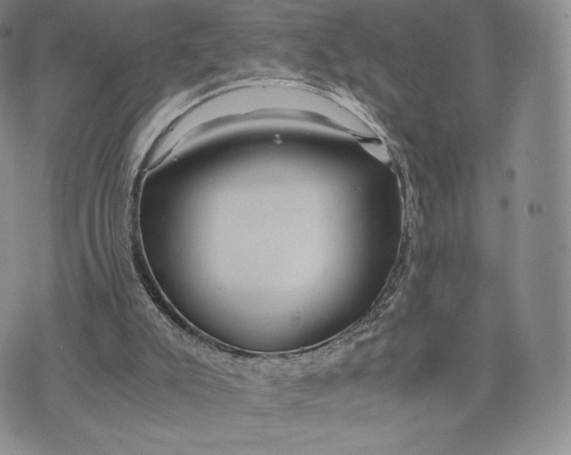 X0000075410007200609291718