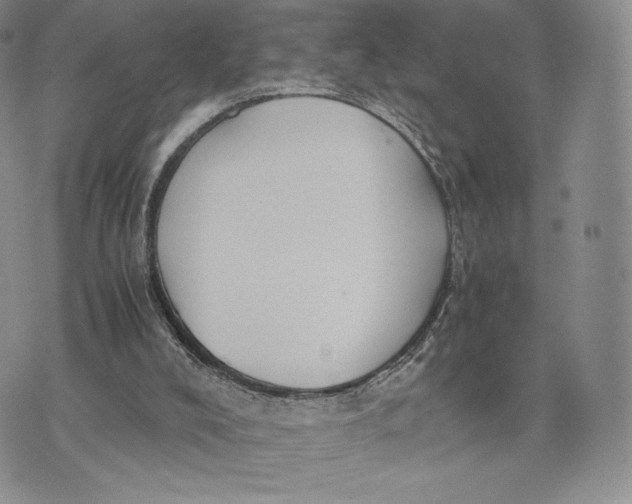 X0000075410008200609291718