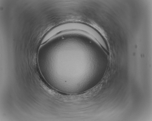 X0000075410009200609291718