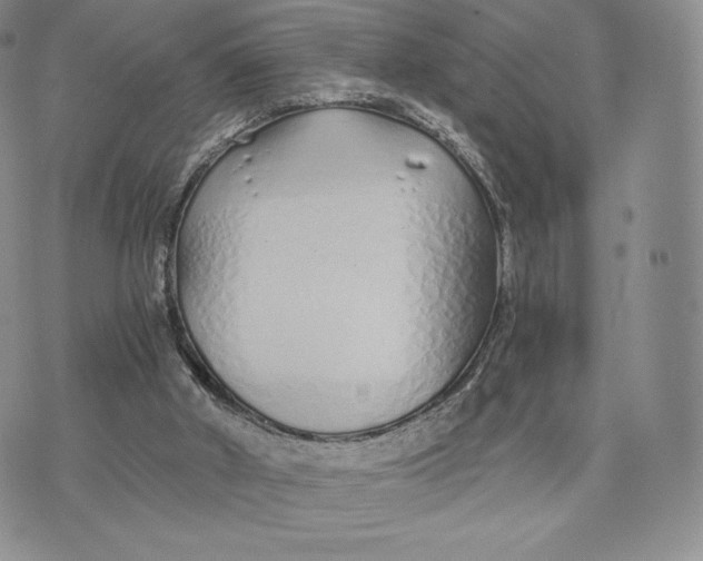 X0000075410010200609291718