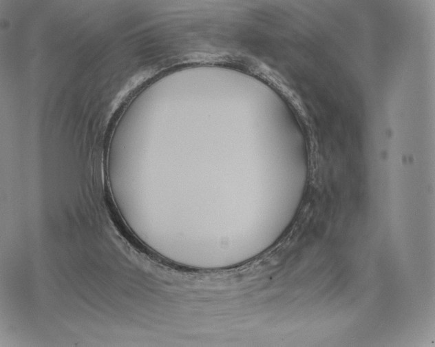 X0000075410011200609291718