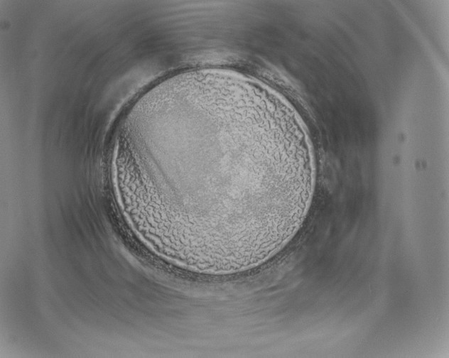 X0000075410012200609291718