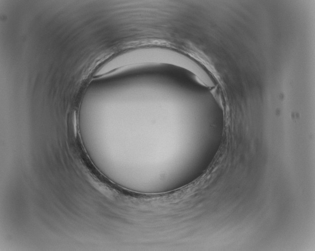 X0000075410013200609291718