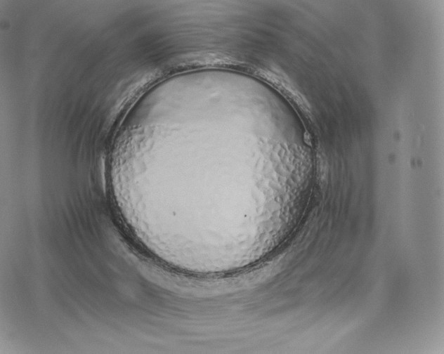 X0000075410014200609291718