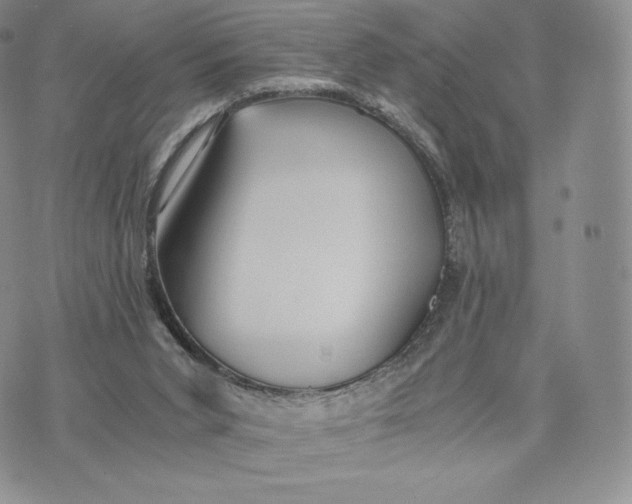 X0000075410015200609291718