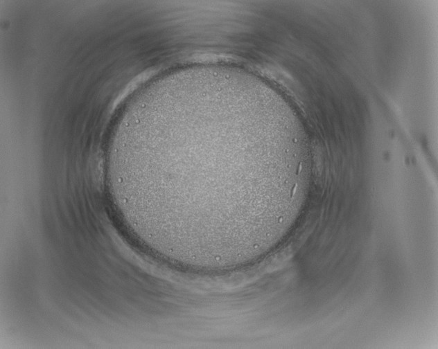 X0000075410016200609291718