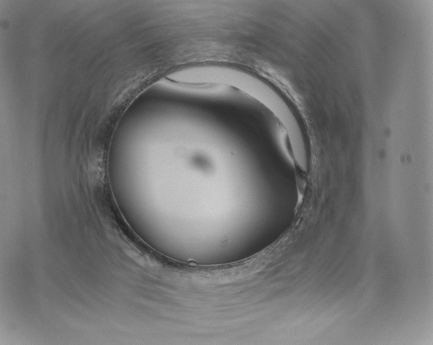 X0000075410017200609291718