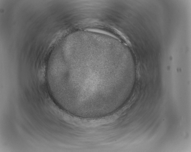 X0000075410018200609291718