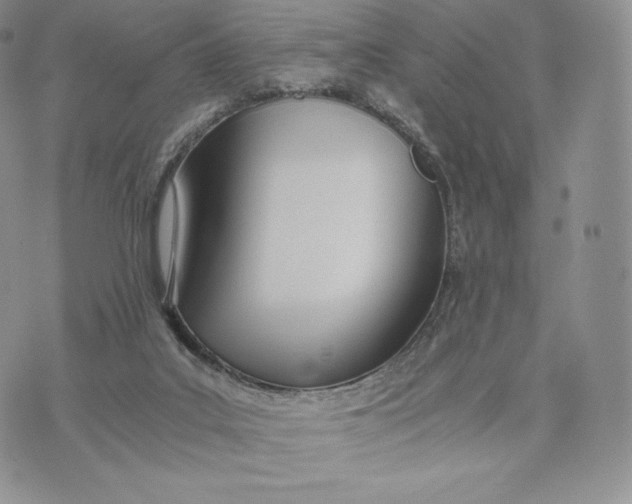 X0000075410019200609291718