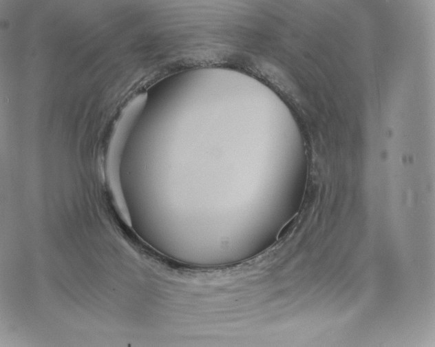 X0000075410021200609291718