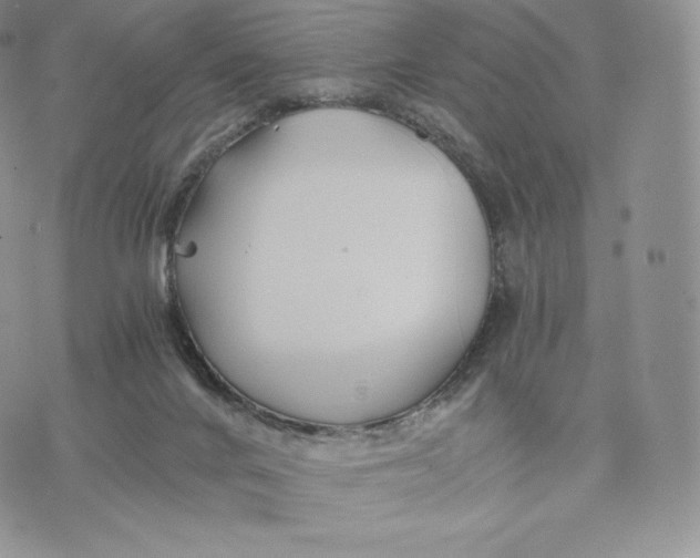 X0000075410024200609291717