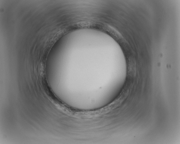 X0000075410025200609291717