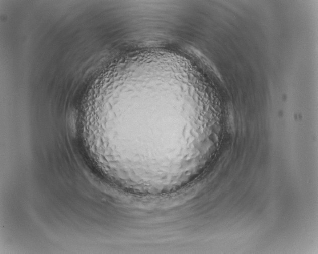 X0000075410026200609291717