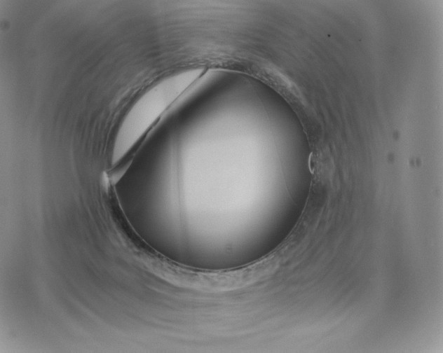 X0000075410027200609291717