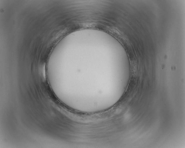 X0000075410028200609291717