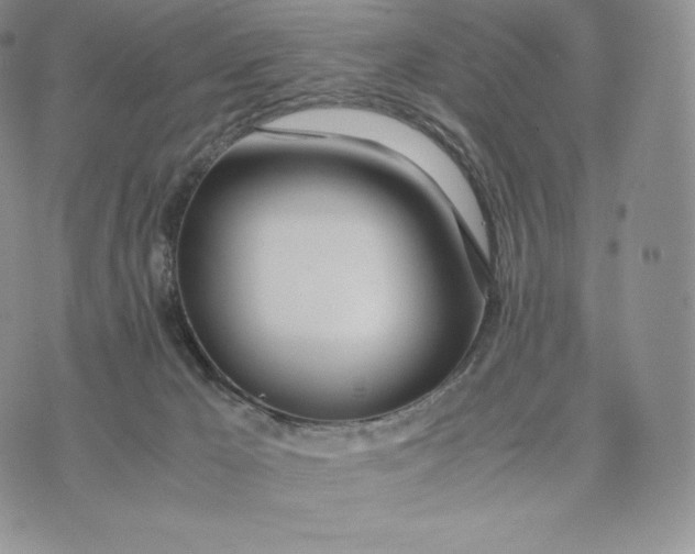 X0000075410029200609291717