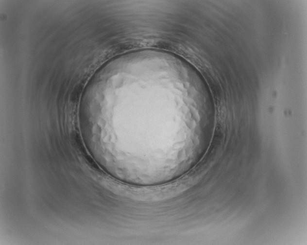 X0000075410030200609291717