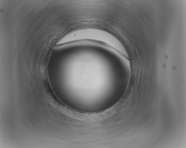 X0000075410031200609291717