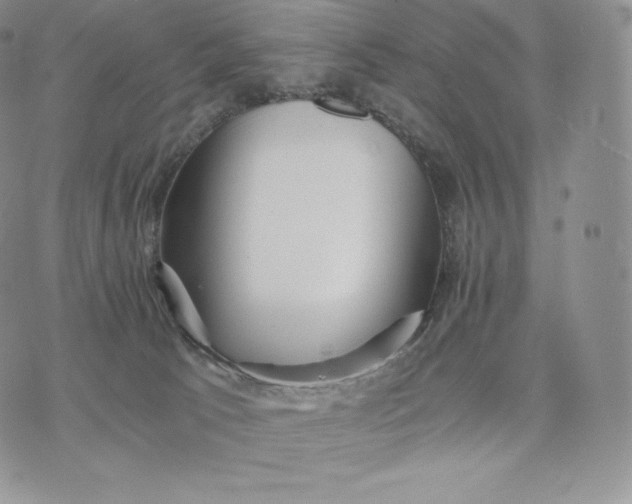 X0000075410033200609291717