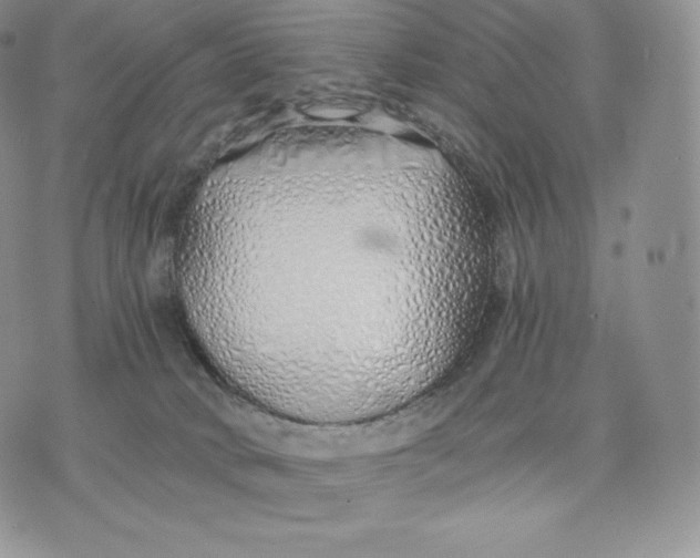 X0000075410034200609291717