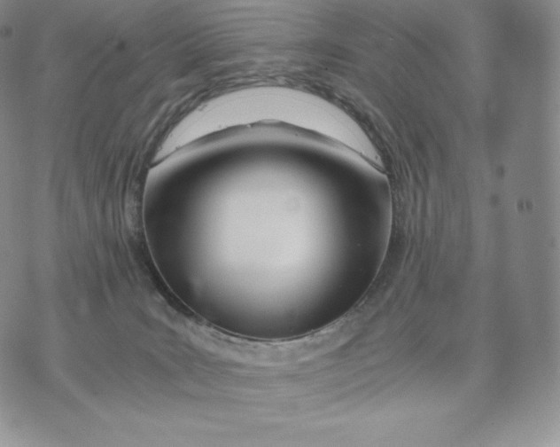 X0000075410035200609291717