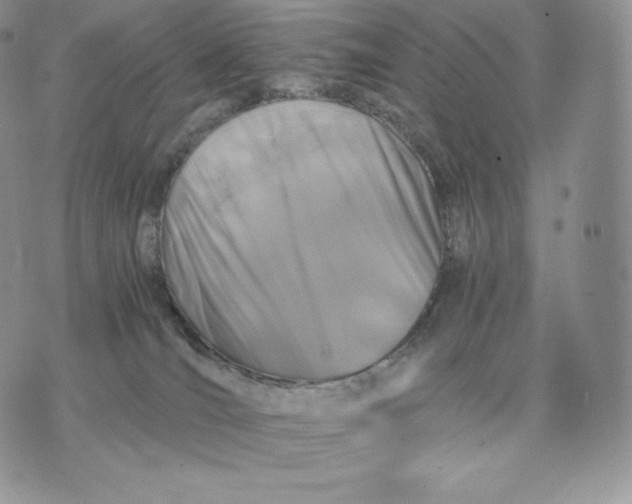 X0000075410036200609291717