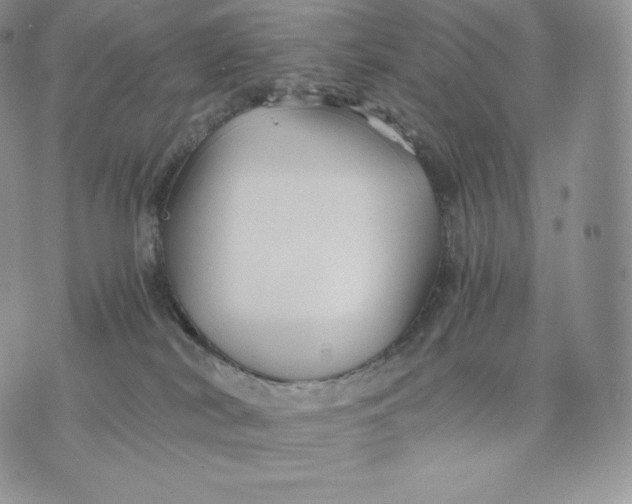 X0000075410038200609291717