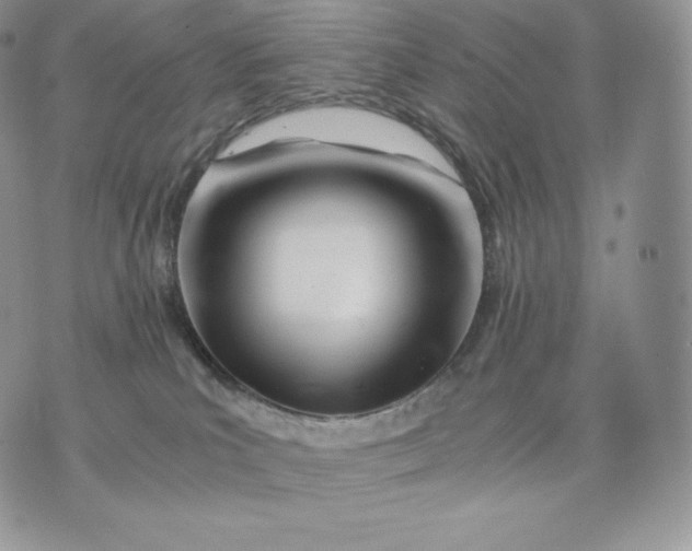 X0000075410039200609291717