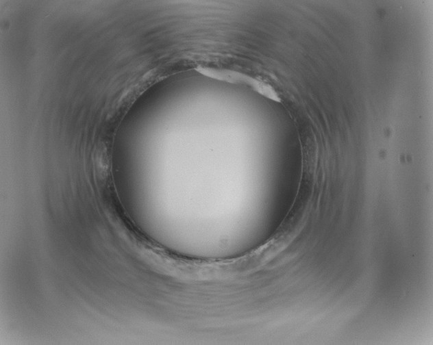 X0000075410040200609291717