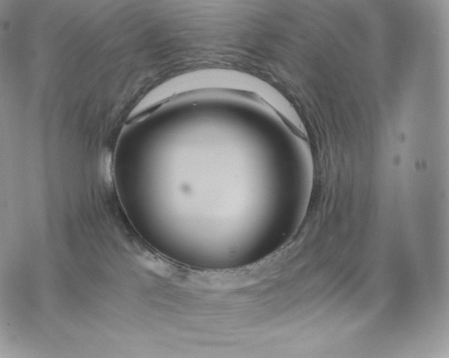 X0000075410041200609291717