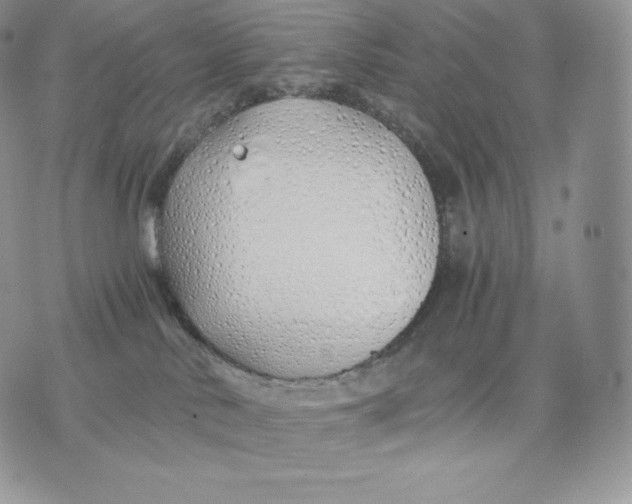 X0000075410042200609291717