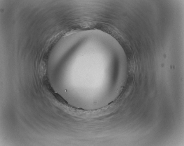 X0000075410043200609291717