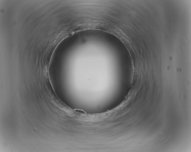 X0000075410045200609291717