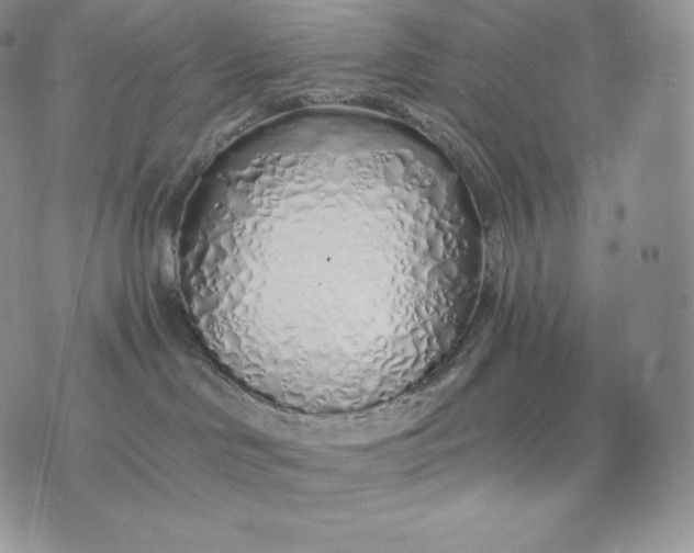 X0000075410046200609291717