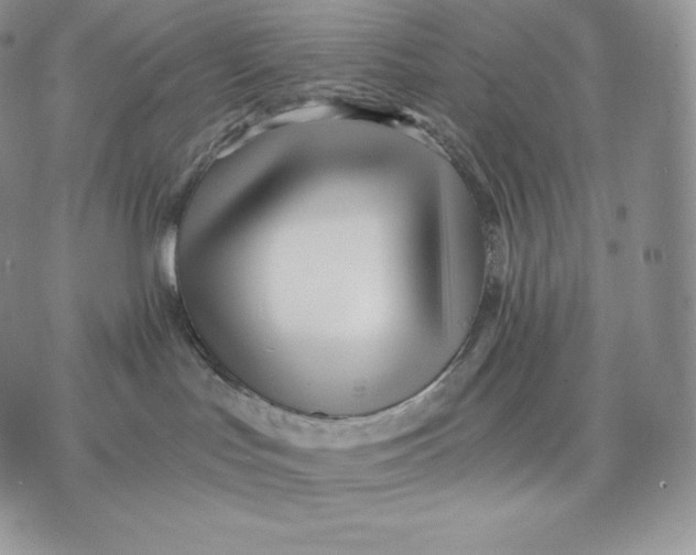 X0000075410047200609291717