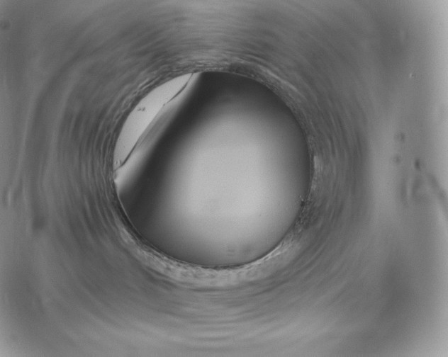 X0000075410048200609291717