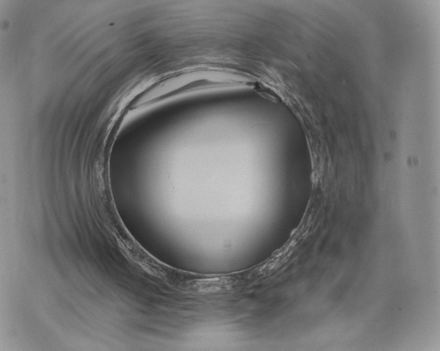 X0000075410050200609291716