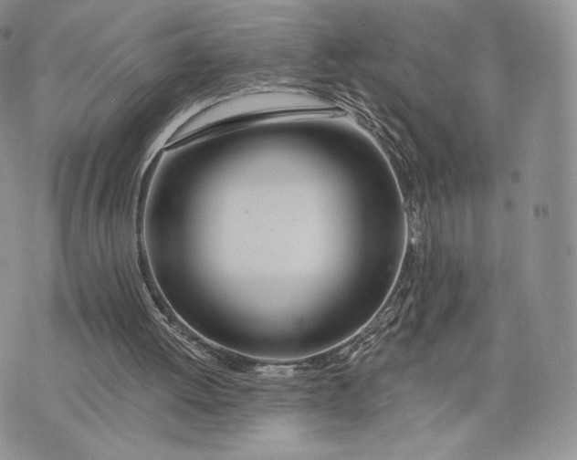 X0000075410052200609291716