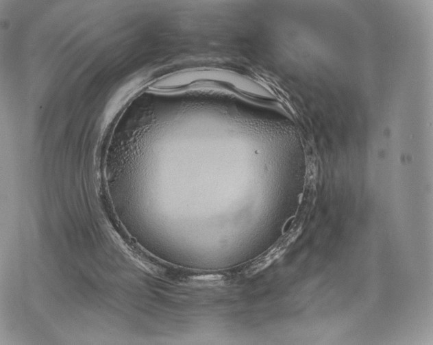 X0000075410053200609291716