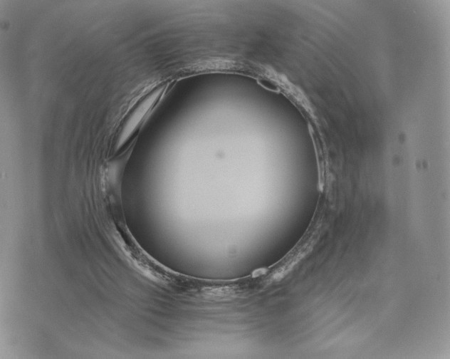 X0000075410057200609291716