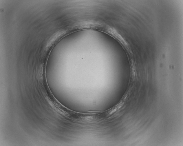 X0000075410058200609291716