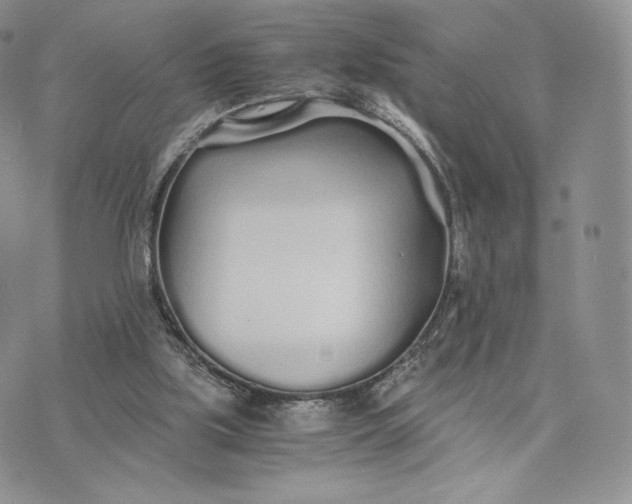 X0000075410059200609291716