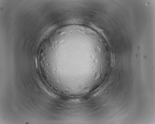 X0000075410061200609291717